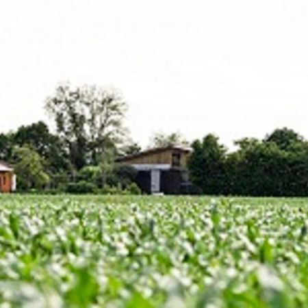 Apartmán Demeterhof Duenninger Hofheim in Unterfranken Exteriér fotografie