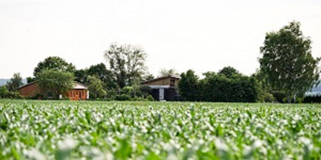 Apartmán Demeterhof Duenninger Hofheim in Unterfranken Exteriér fotografie